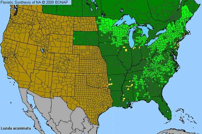 Allergies By County Map For Hairy Wood-Rush