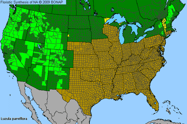 Allergies By County Map For Small-Flower Wood-Rush