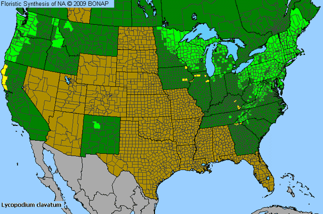 Allergies By County Map For Running Ground-Pine