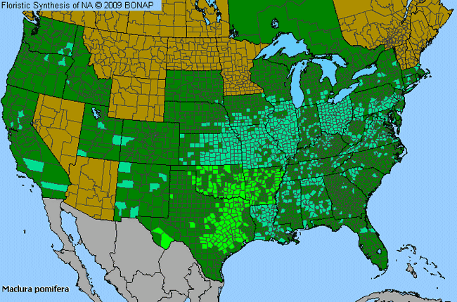 Allergies By County Map For Osage-Orange