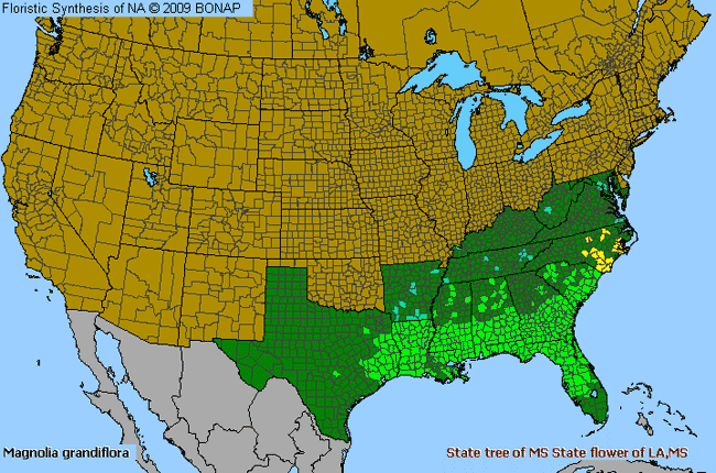 Allergies By County Map For Southern Magnolia