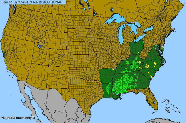 Allergies By County Map For Big-Leaf Magnolia