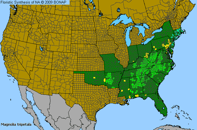 Allergies By County Map For Umbrella Magnolia