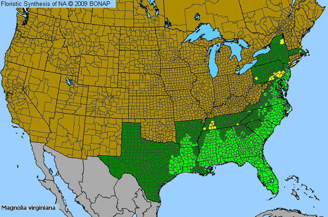 Allergies By County Map For Sweet-Bay