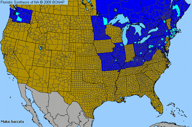 Allergies By County Map For Siberian Crabapple