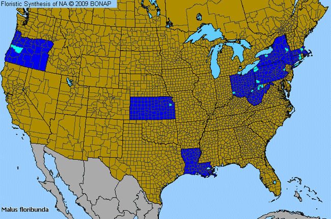 Allergies By County Map For Japanese Flowering Crabapple