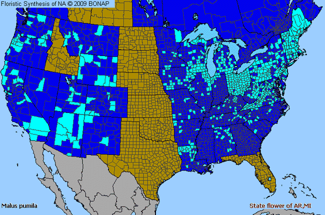 Allergies By County Map For Cultivated Apple