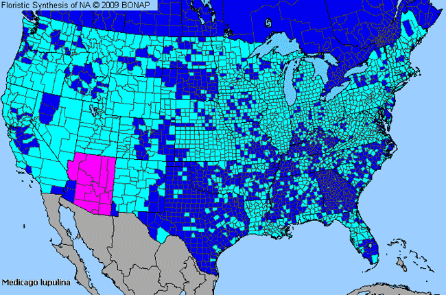 Allergies By County Map For Black Medick