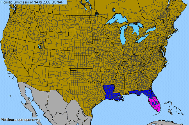 Allergies By County Map For Punktree