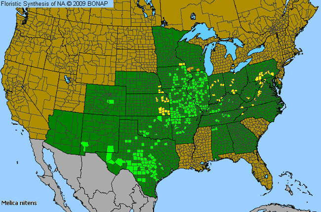 Allergies By County Map For Three-Flower Melic Grass