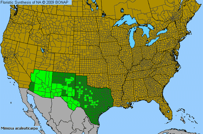 Allergies By County Map For Cat-Claw Mimosa