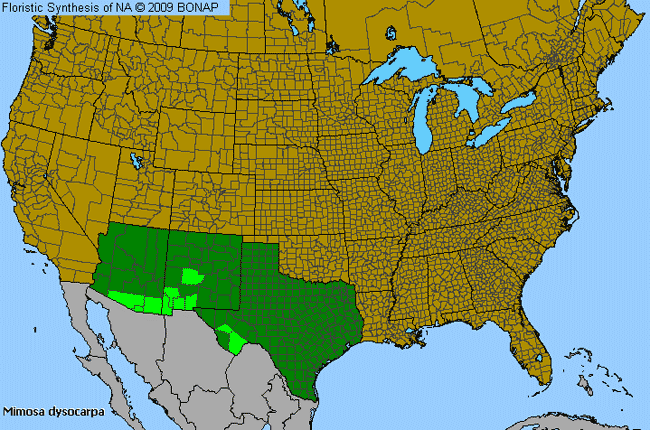 Allergies By County Map For Velvet-Pod Mimosa