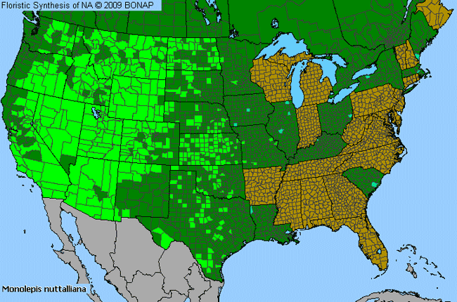 Allergies By County Map For Nuttall's Poverty-Weed