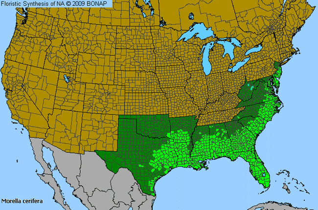 Allergies By County Map For Southern Bayberry