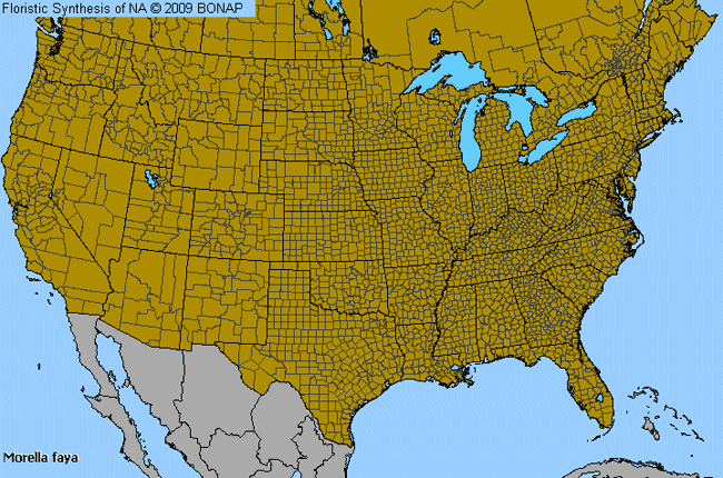 Allergies By County Map For Firetree