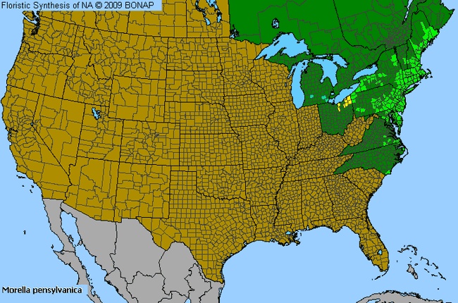 Allergies By County Map For Northern Bayberry