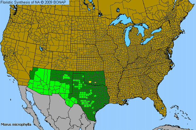 Allergies By County Map For Texas Mulberry