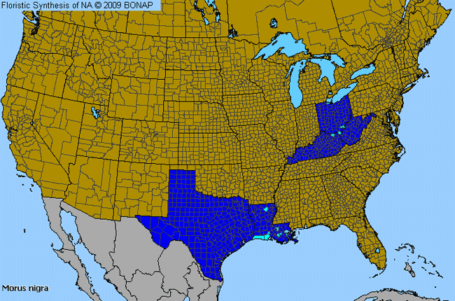 Allergies By County Map For Black Mulberry