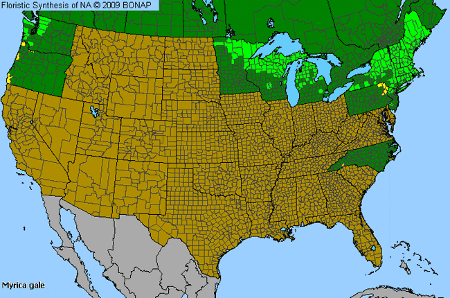 Allergies By County Map For Sweetgale