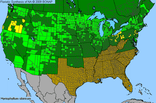 Allergies By County Map For Siberian Water-Milfoil