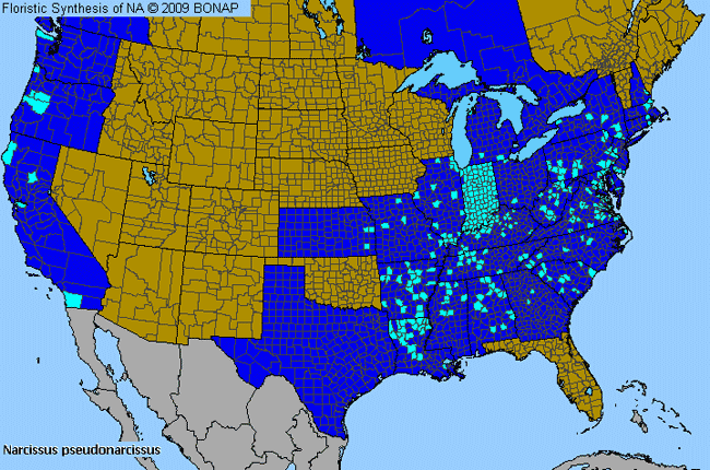 Allergies By County Map For Common Daffodil