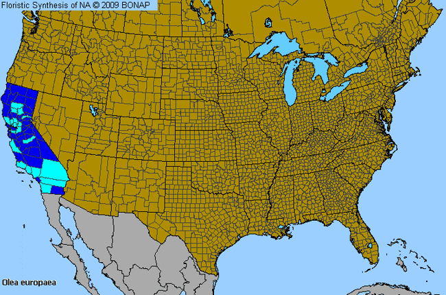 Allergies By County Map For Olive