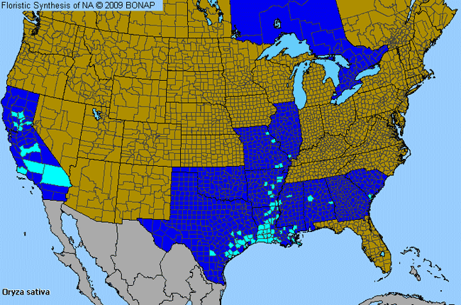 Allergies By County Map For Cultivated Rice