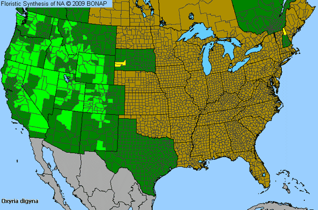 Allergies By County Map For Mountain-Sorrel