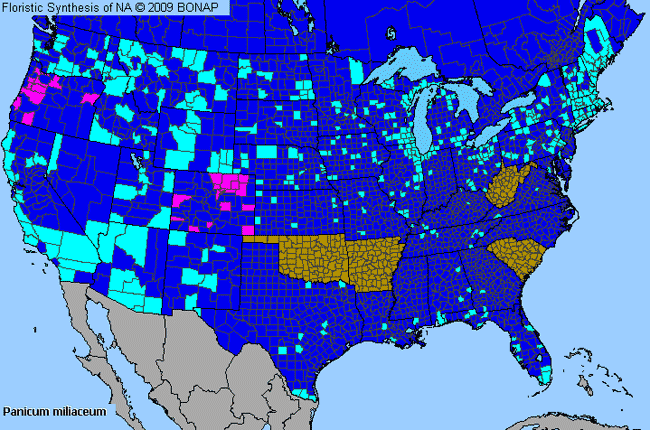 Allergies By County Map For Hog Millet