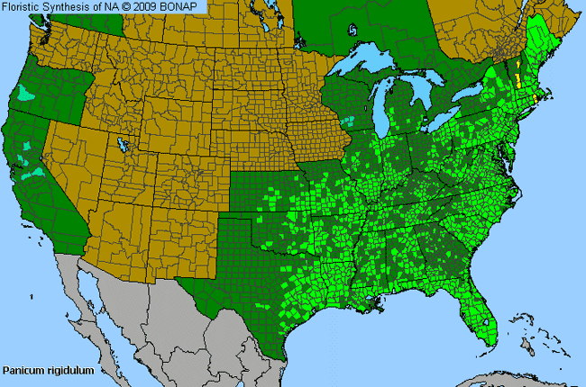 Allergies By County Map For Red-Top Panic Grass