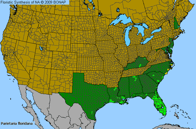 Allergies By County Map For Florida Pellitory