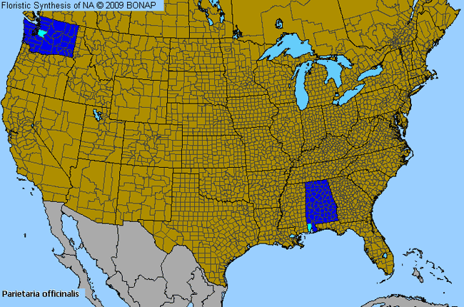 Allergies By County Map For Upright Pellitory