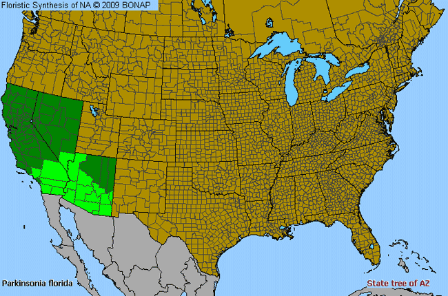 Allergies By County Map For Blue Palo-Verde