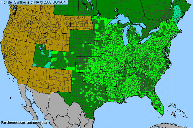 Allergies By County Map For Virginia-Creeper