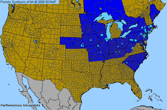 Allergies By County Map For Boston-Ivy