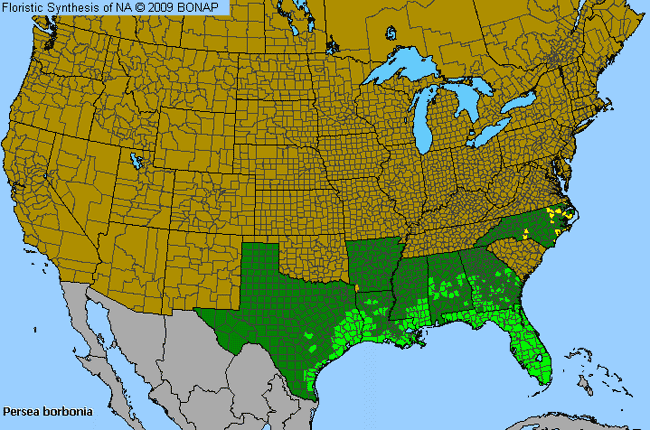 Allergies By County Map For Red Bay