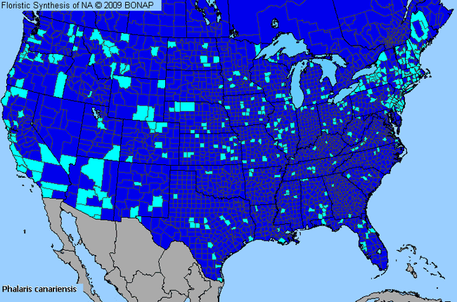 Allergies By County Map For Common Canary Grass