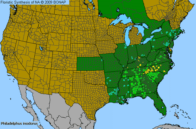 Allergies By County Map For Scentless Mock Orange