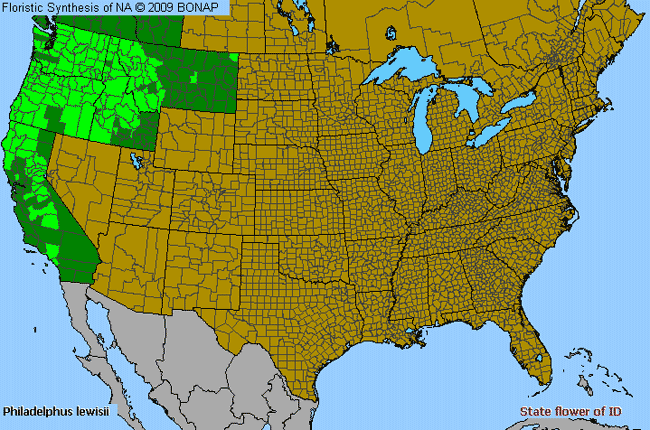 Allergies By County Map For Lewis' Mock Orange