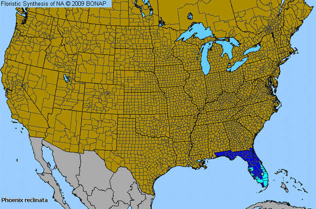 Allergies By County Map For Senegal Date Palm