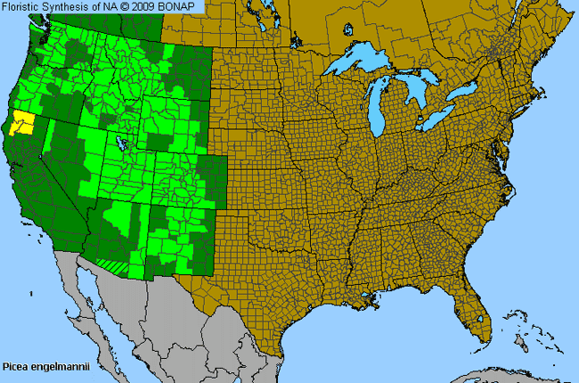 Allergies By County Map For Engelmann's Spruce