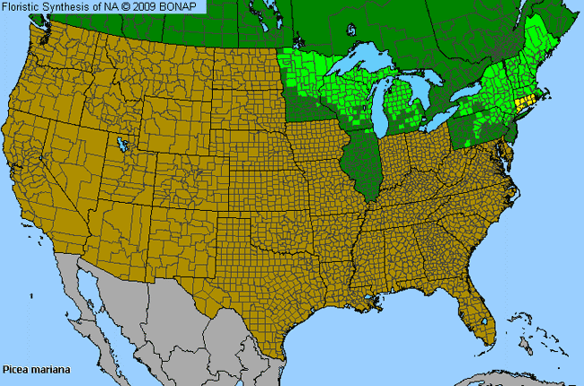 Allergies By County Map For Black Spruce