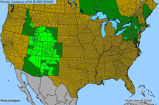 Allergies By County Map For Blue Spruce