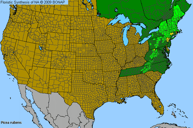 Allergies By County Map For Red Spruce