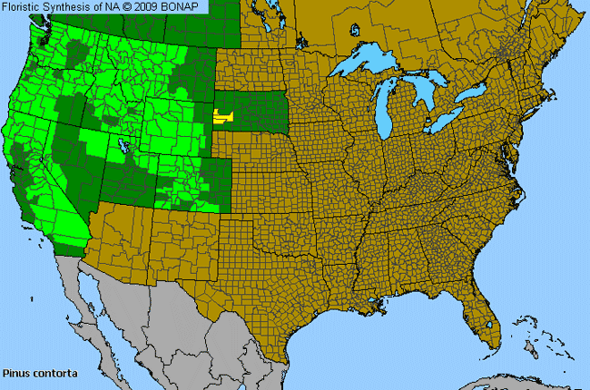 Allergies By County Map For Lodgepole Pine