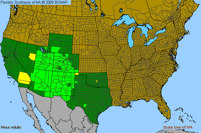 Allergies By County Map For Two-Needle Pinyon