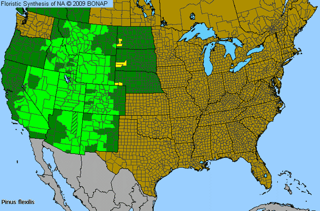 Allergies By County Map For Limber Pine