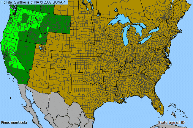 Allergies By County Map For Western White Pine