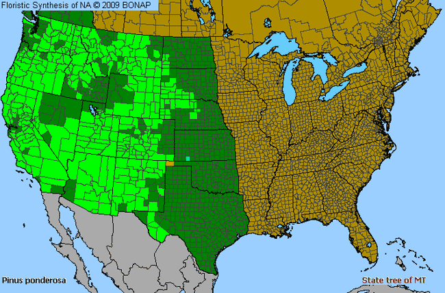 Allergies By County Map For Ponderosa Pine