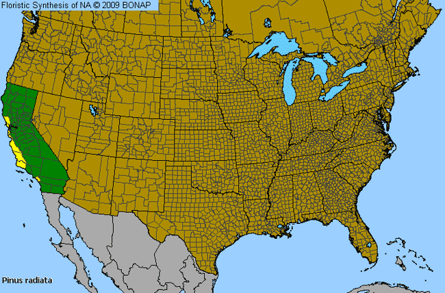 Allergies By County Map For Monterey Pine